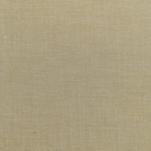Tilda Chambray Olive 1/2 YARD