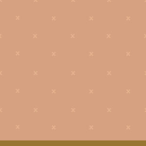 fsw-07-pink-sand copy