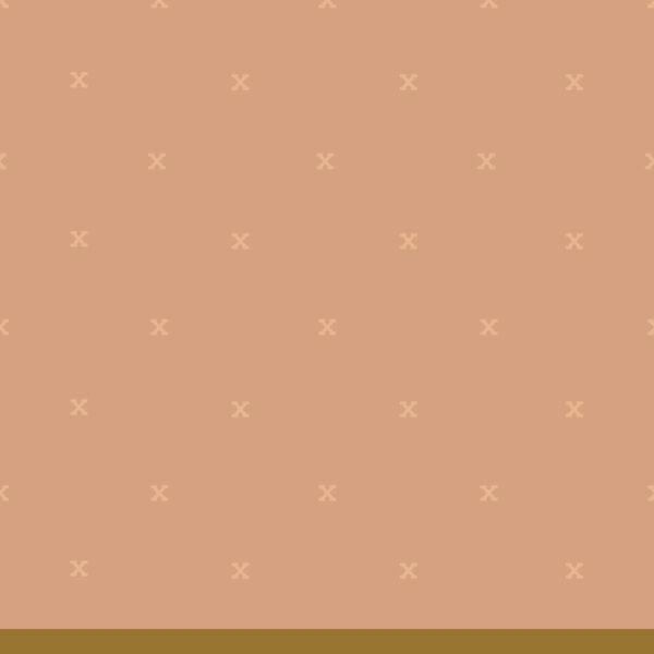 fsw-07-pink-sand copy