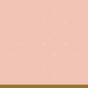 fsw-14-peachy copy