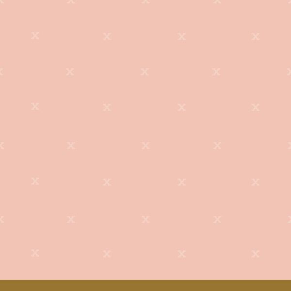fsw-14-peachy copy