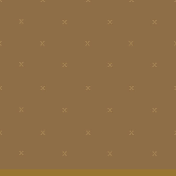 fsw-05-bronze