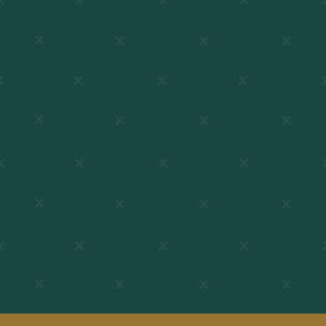fsw-17-pineneedle