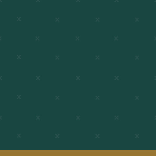 fsw-17-pineneedle
