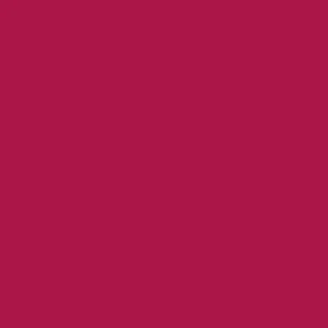 Rose Hip