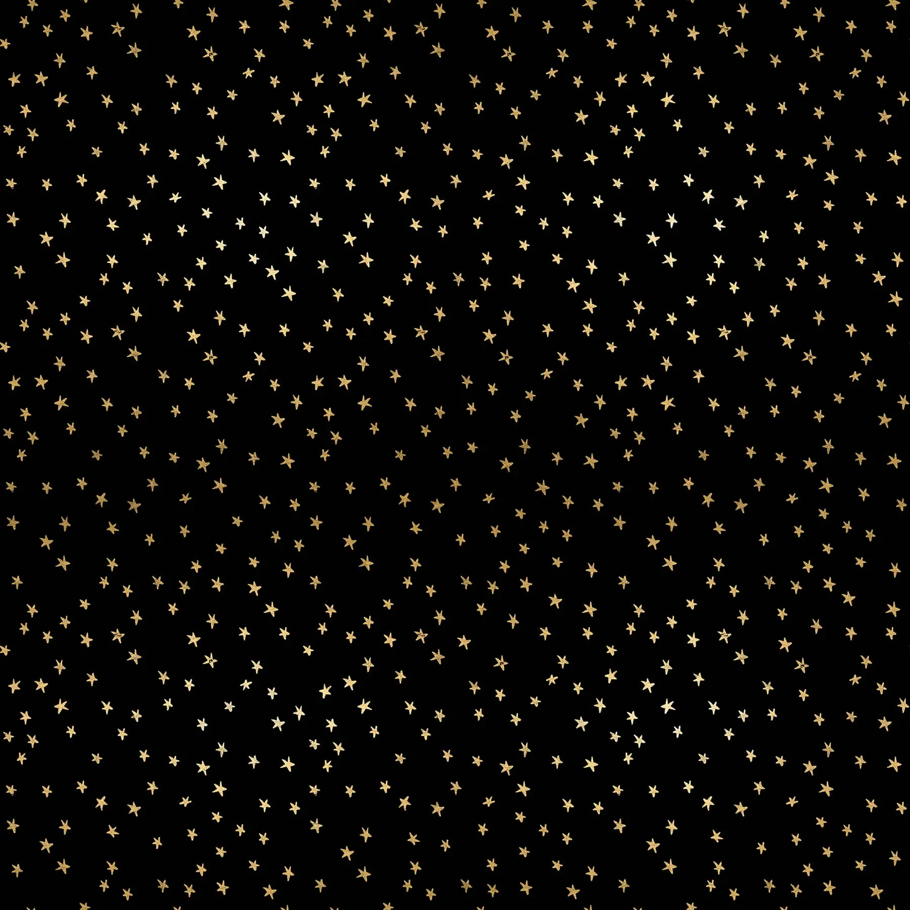BLACK & GOLD SM
