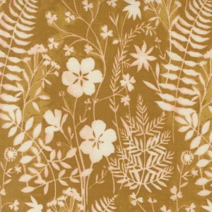 Brookside Yarrow