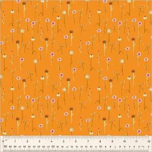 Wildflowers-Orange